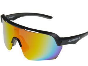 Sport Sunglasses WS7138 Gamswild TR90