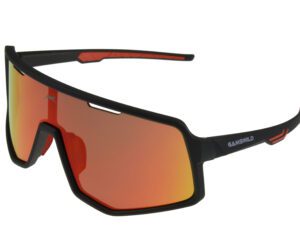 Sport Sunglasses WS4042 Gamswild TR90 "Top Model 2026"