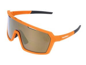 Sport Sunglasses WS2244 Gamswild